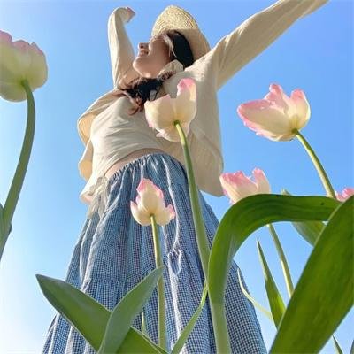 高蒂传